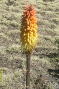 Ethiopia Trekking Tours - Bale Mountains