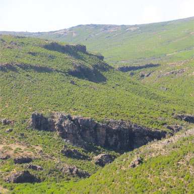 Bale Mountains