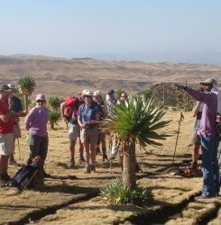 Simien Mountains Trekking