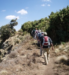 Ethiopia Trekking Tours - Simien Mountains